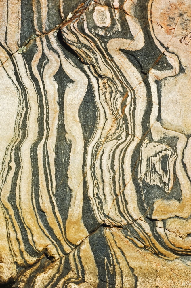 Detail Of Rock On Georgian Bay Ontario Canvas Art - Mike Grandmaison Design Pics (12 x 18)