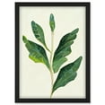 thumbnail image 1 of Detail Of Rubber Fig Plant Botanical Illustration Artwork Framed Wall Art Print A4, 1 of 4