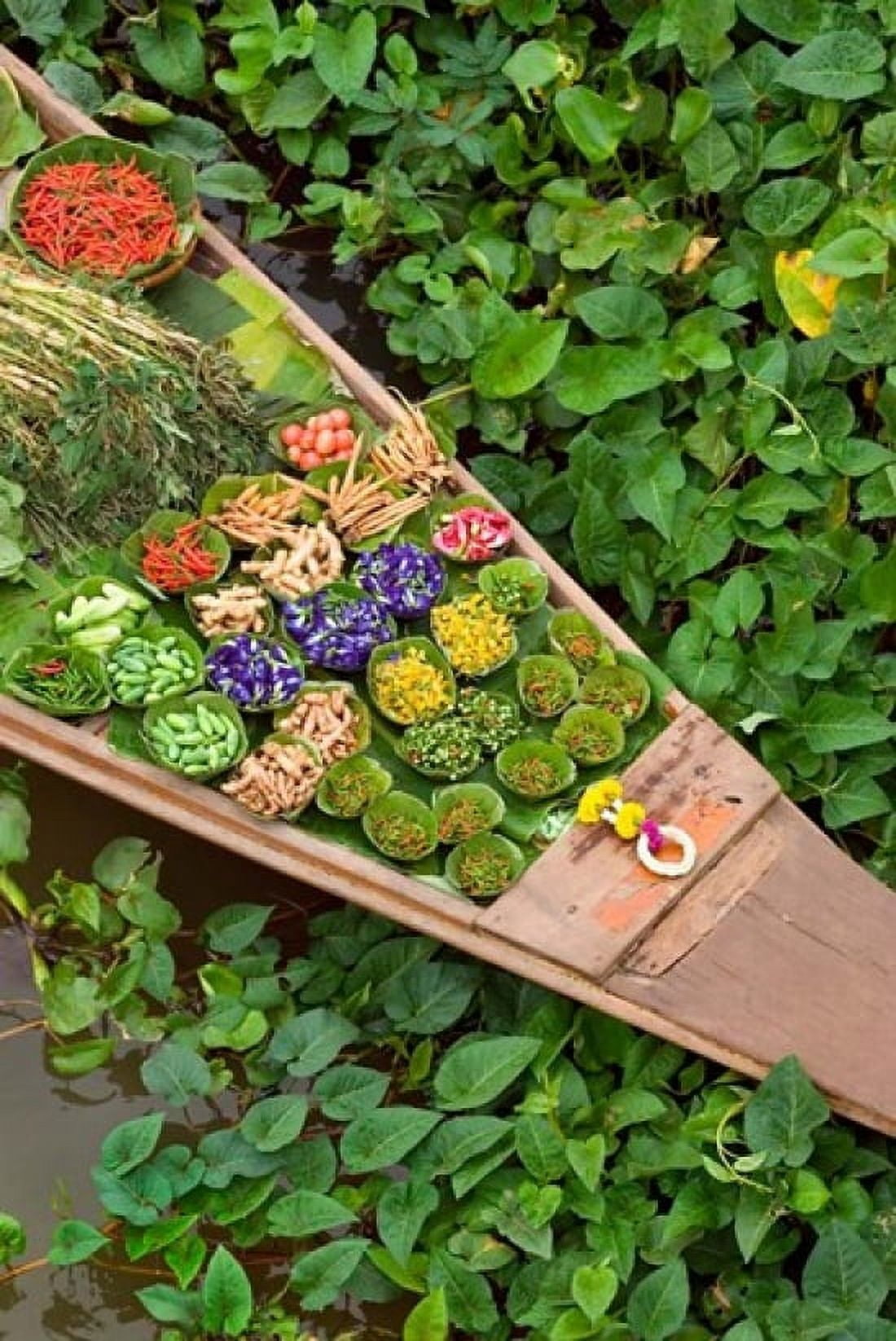 Detail of Boat in Water Lilies Floating Market Bangkok Thailand Canvas Art - Philip Kramer DanitaDelimont (18 x 26)