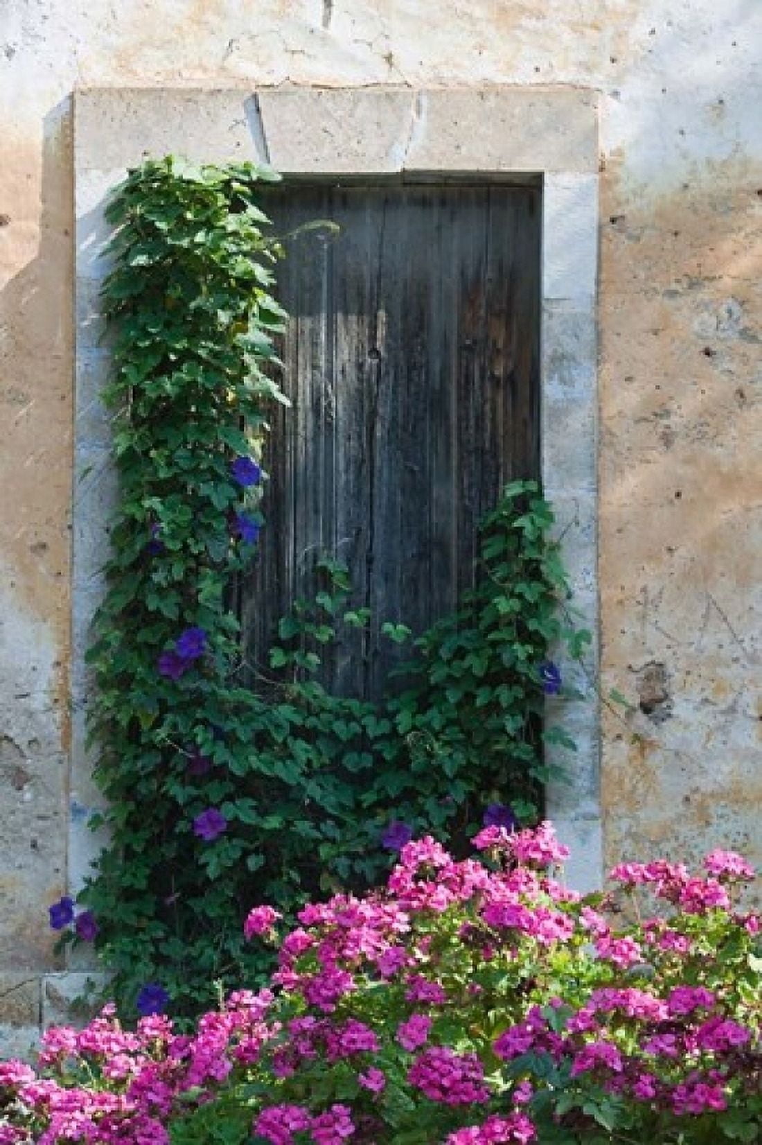 Detail of Old House Assos Kefalonia Ionian Islands Greece Canvas Art - Walter Bibikow DanitaDelimont (24 x 36)