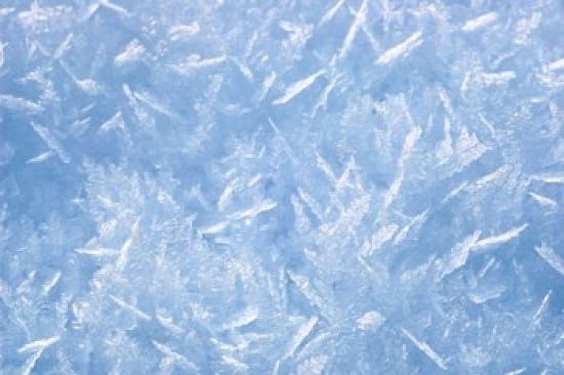 Detail of Winter Snow Canvas Art - Paul Colangelo DanitaDelimont (36 x 24)