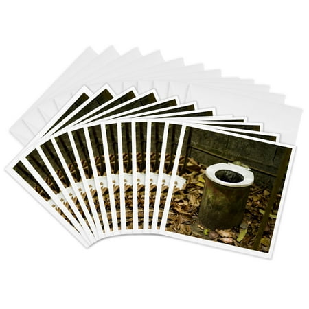 3dRose, Detail of a jungle toilet, 12 Greeting Cards with envelopes