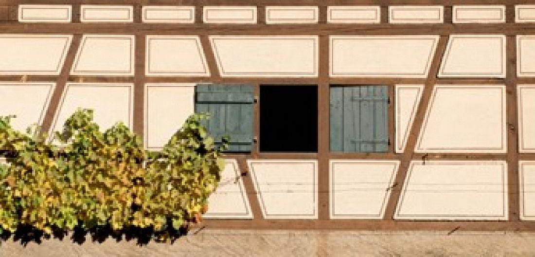 Detail of half timber house and grape vines Strumpfelbach Baden-Wurttemberg Germany Canvas Art - Panoramic Images (24 x 12)