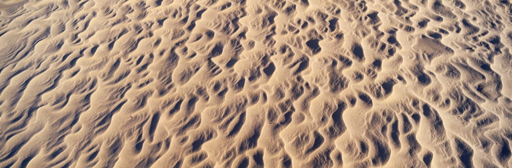 Detail of sand dunes at Anza Borrego Desert State Park California USA Canvas Art - Panoramic Images (27 x 9)