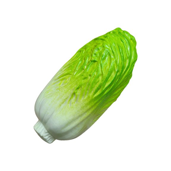 Detailed Artificial Vegetable Models With Smooth Surfaces Simple Food Replicas Great For Modern Interior Design Projects