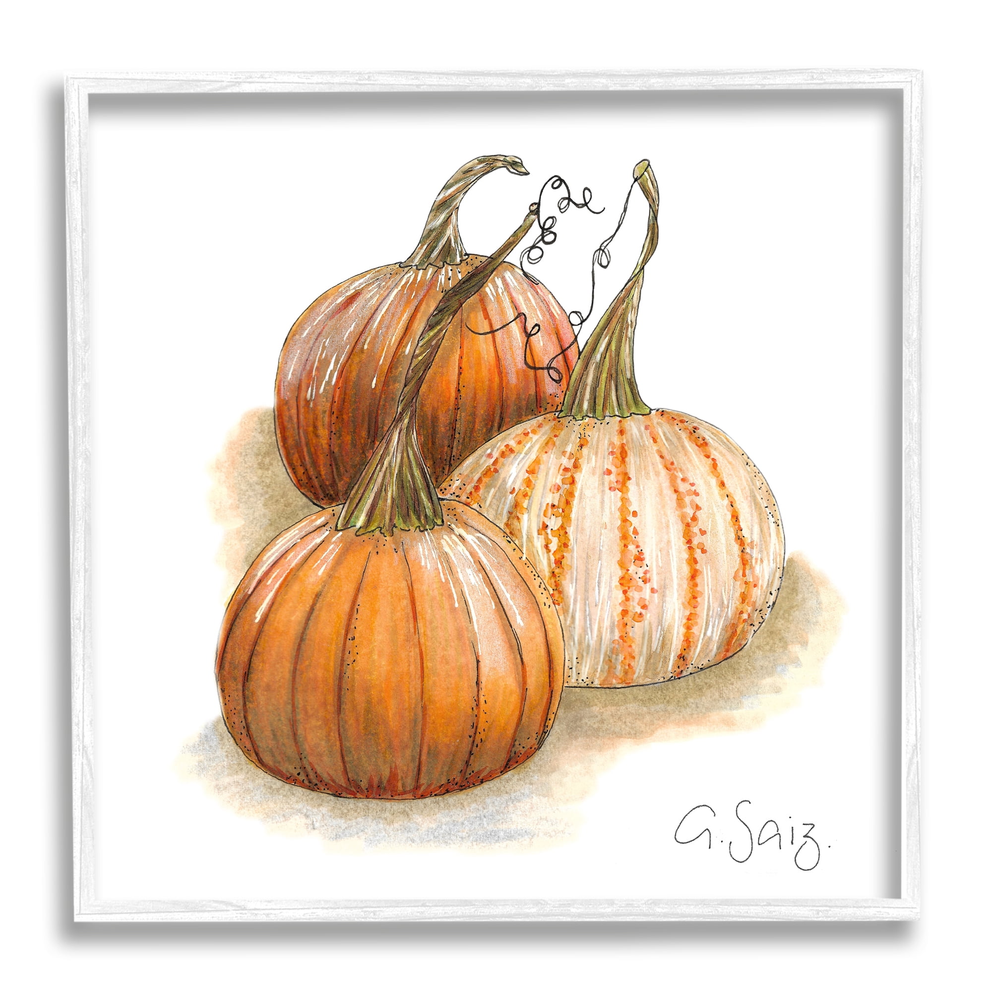 Detailed Autumn Pumpkins Gourds Still Life Illustration Botanical & Floral Painting Framed Art Print Wall Art