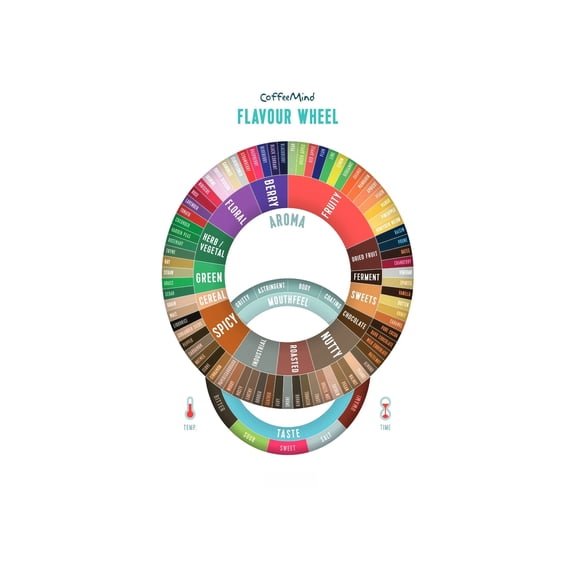 Detailed Coffee Flavor Wheel Poster Tasting Guide with Aroma and Taste Notes Essential Knowledge Chart for Home Barista and Cafe Decor