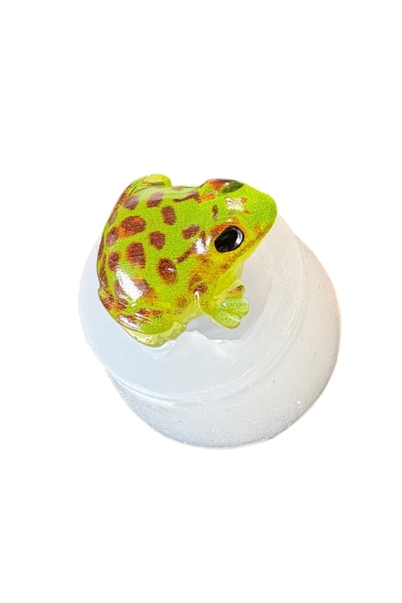 Detailed Frogs Silicone Mold Handmade Resin Frogs Keychain Crafting Art Tool