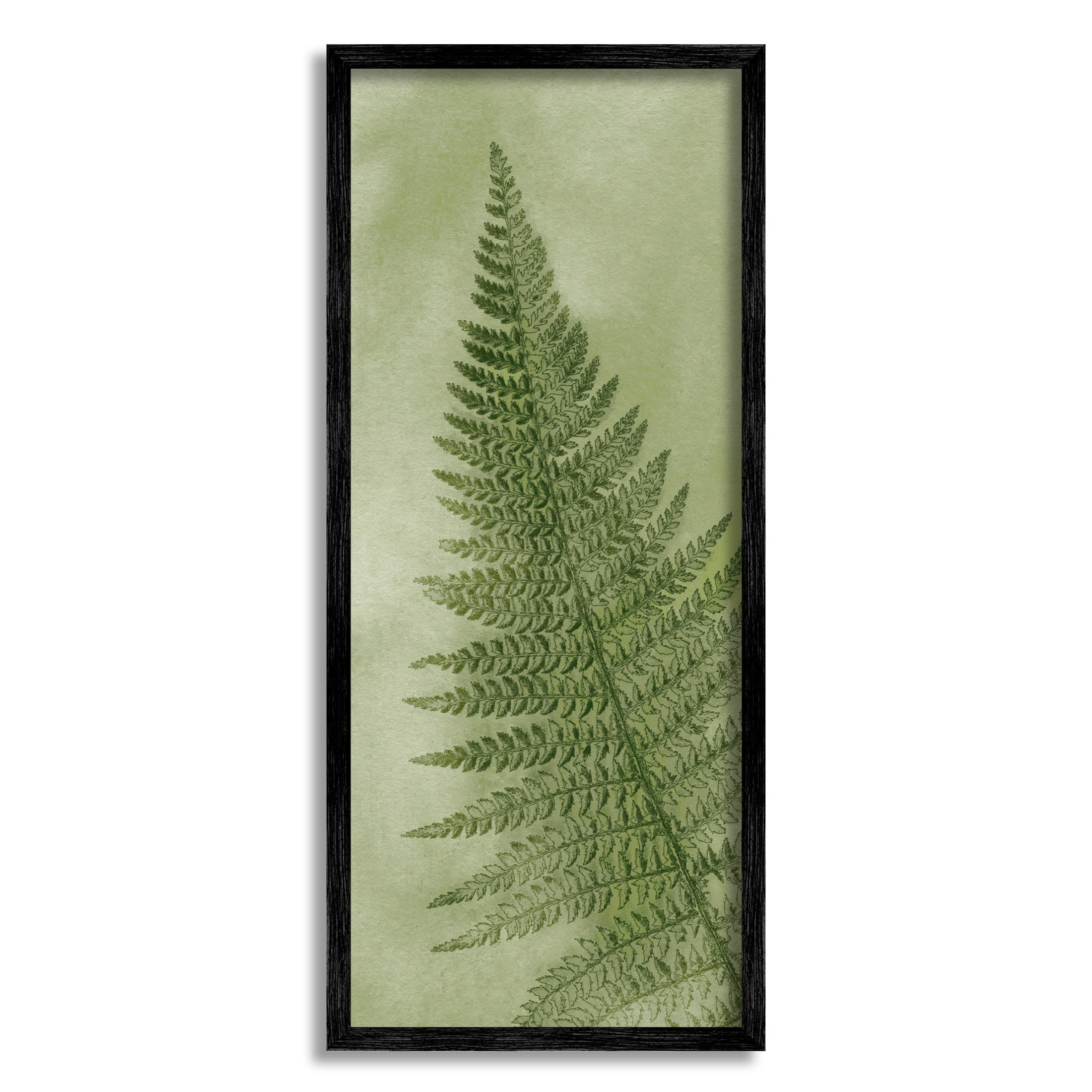 Detailed Green Fern Leaf Botanical & Floral Graphic Art Black Framed Art Print Wall Art
