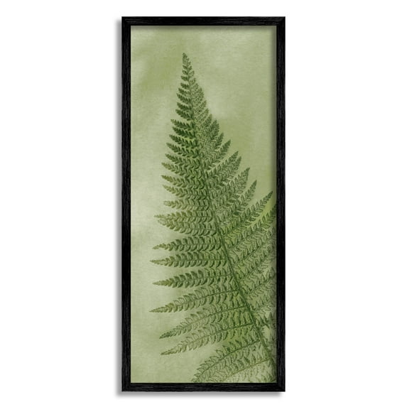 Detailed Green Fern Leaf Botanical & Floral Graphic Art Black Framed Art Print Wall Art