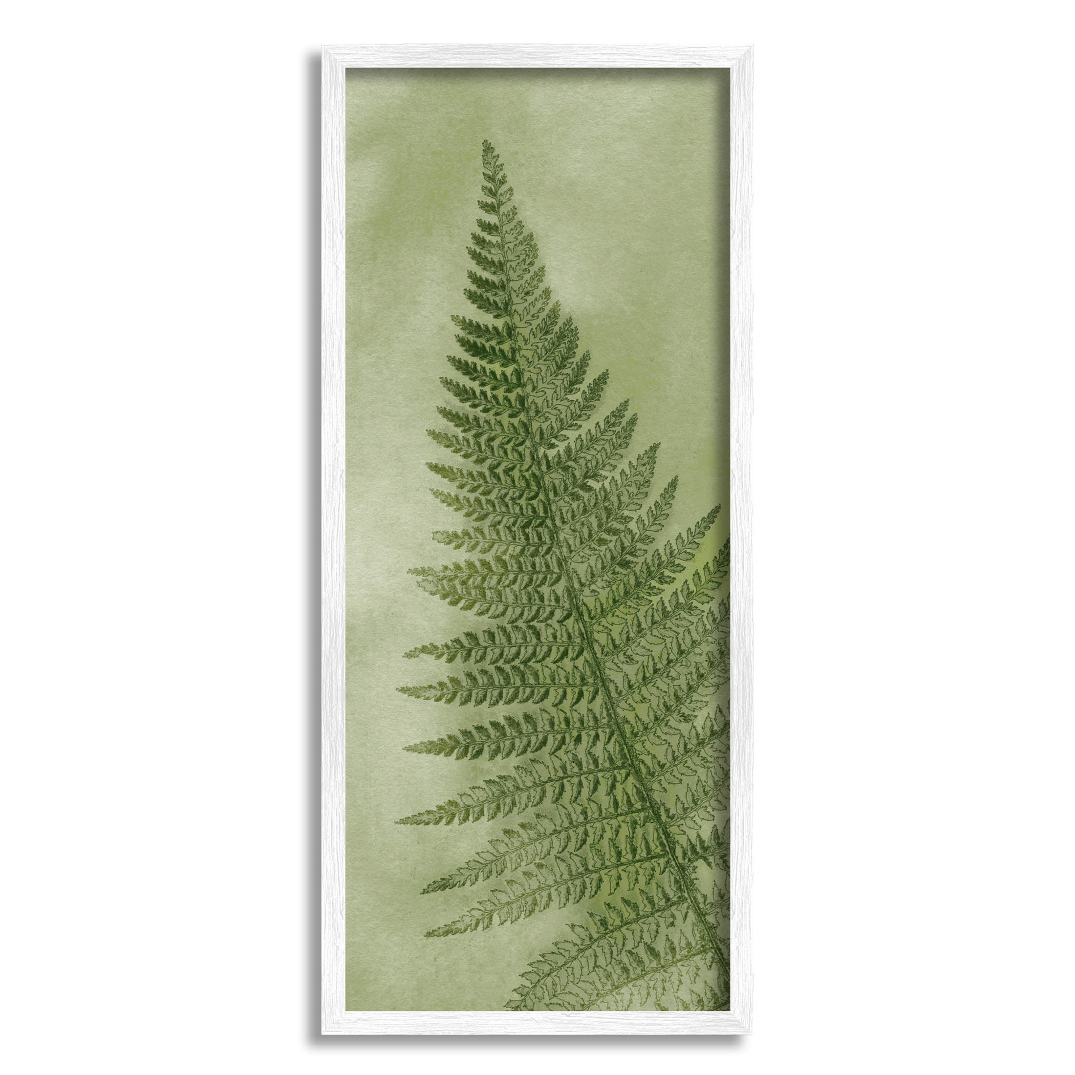 Detailed Green Fern Leaf Canvas Print with White Frame