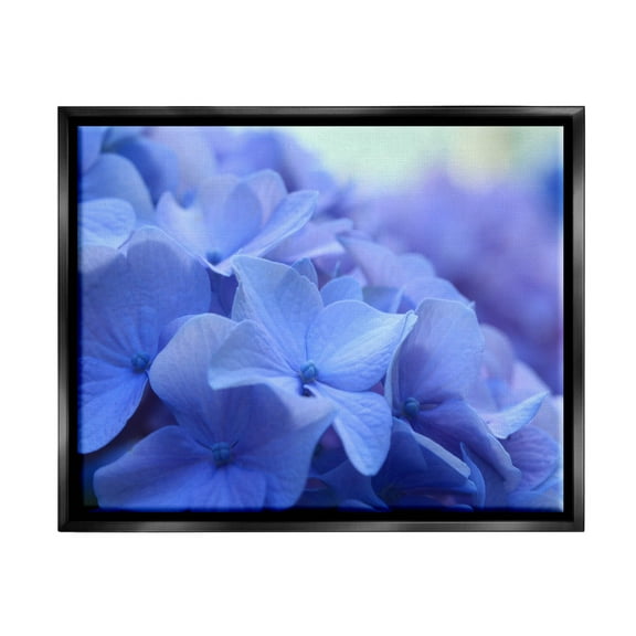 Detailed Hydrangea Close Up Petals Botanical & Floral Photograph Jet Black Framed Art Print Wall Art