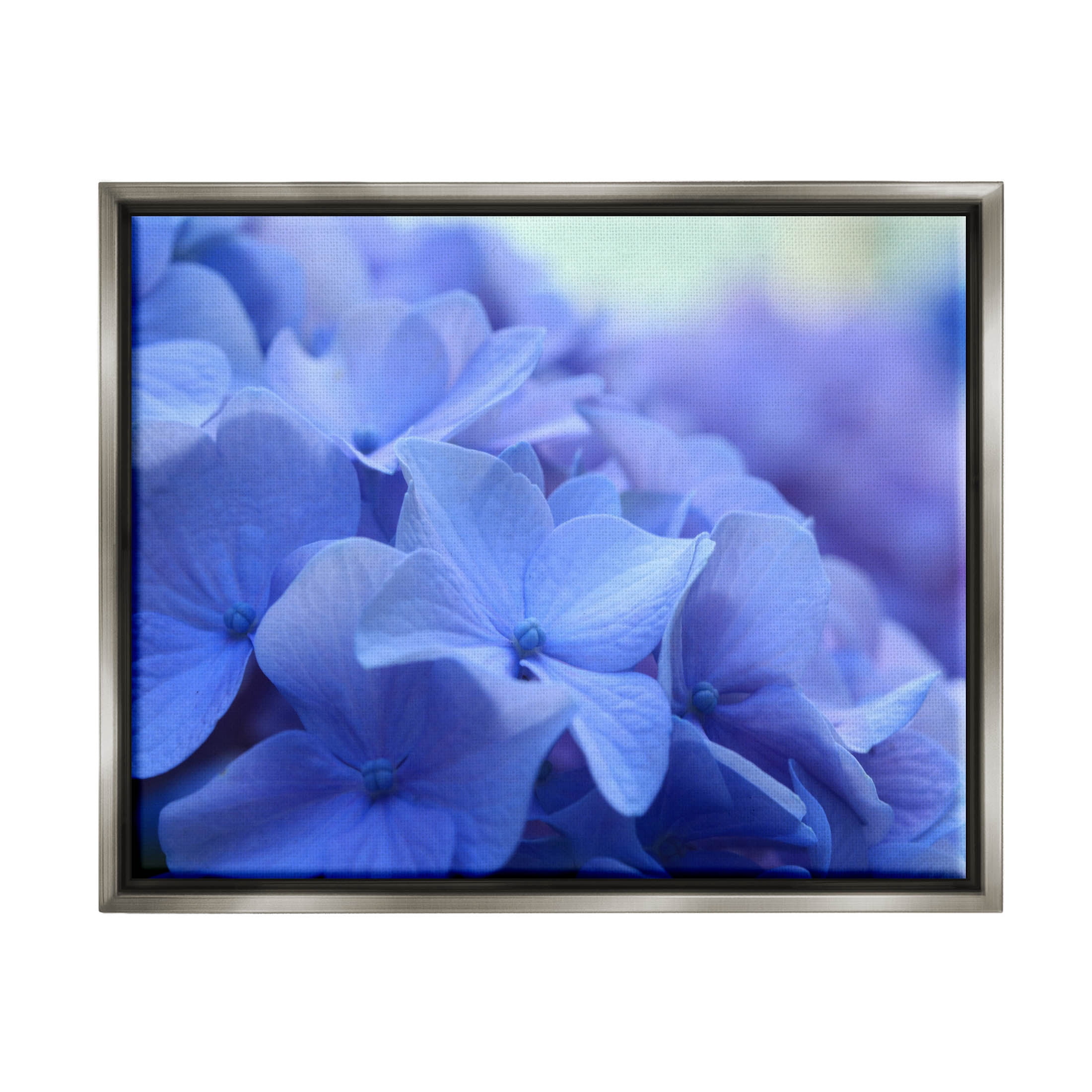 Detailed Hydrangea Close Up Petals Botanical & Floral Photograph Luster Gray Framed Art Print Wall Art