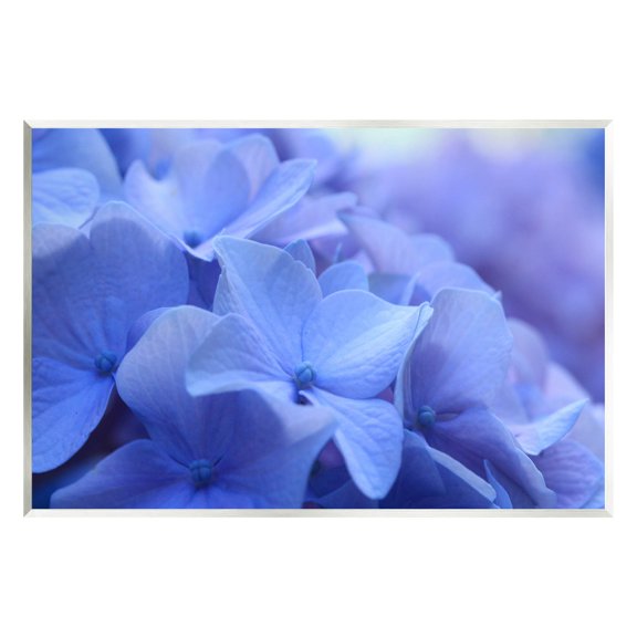 Detailed Hydrangea Close Up Petals Botanical & Floral Photograph Unframed Art Print Wall Art