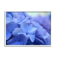 thumbnail image 1 of Detailed Hydrangea Close Up Petals Botanical & Floral Photograph White Framed Art Print Wall Art, 1 of 7