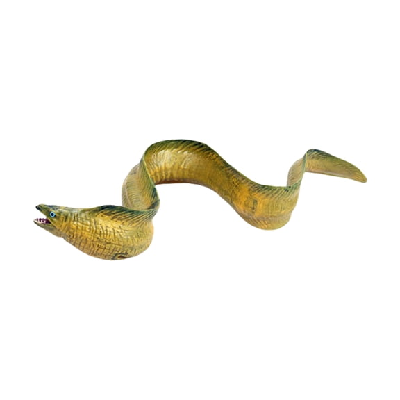 Detailed Life Like Eel Model Figurine Simulation Marine Figure Easy Carry for Classroom Exhibition Display