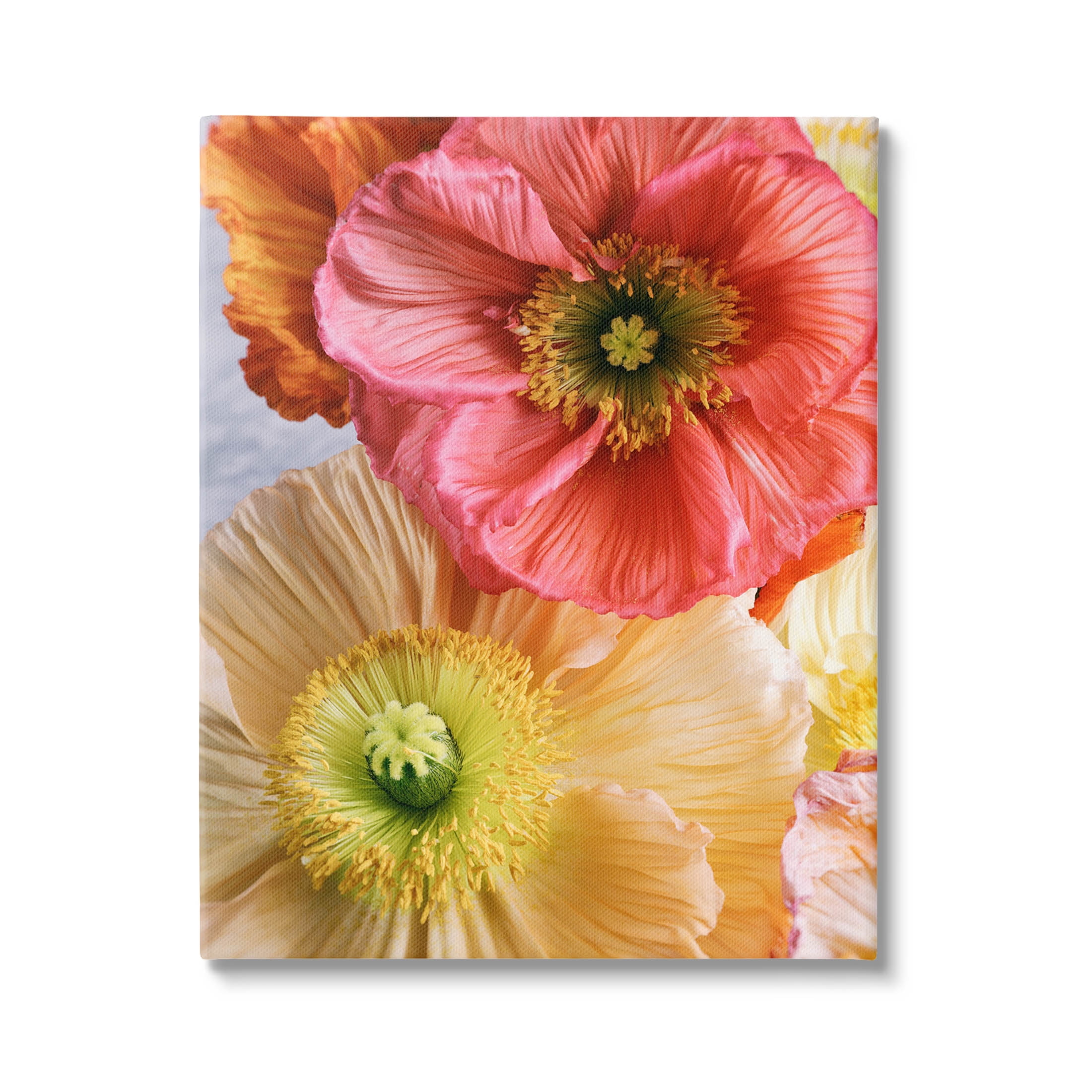 Detailed Poppy Flower Close Up Botanical & Floral Photograph Gallery Wrapped Canvas Print Wall Art