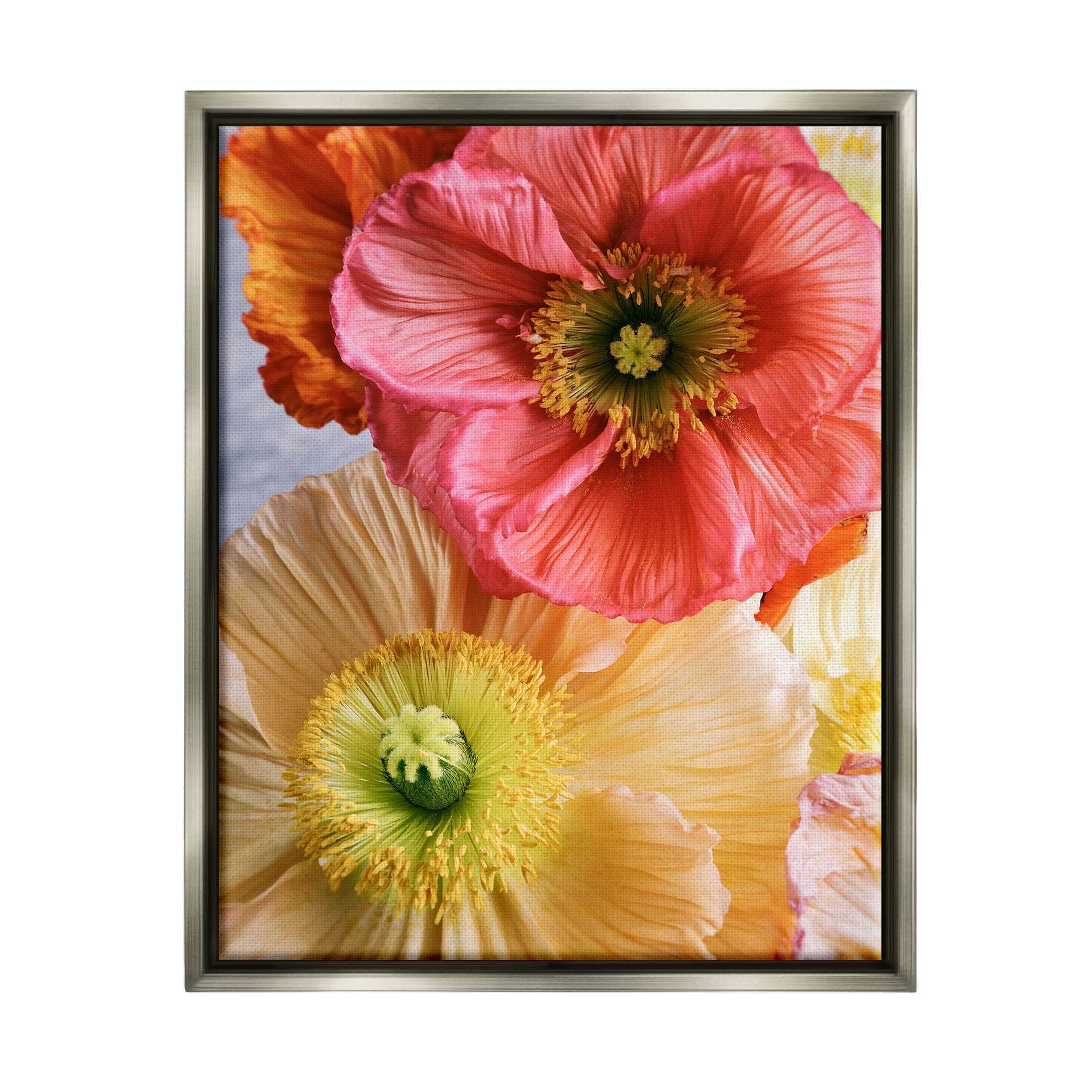 Detailed Poppy Flower Close Up Botanical & Floral Photograph Luster Gray Framed Art Print Wall Art