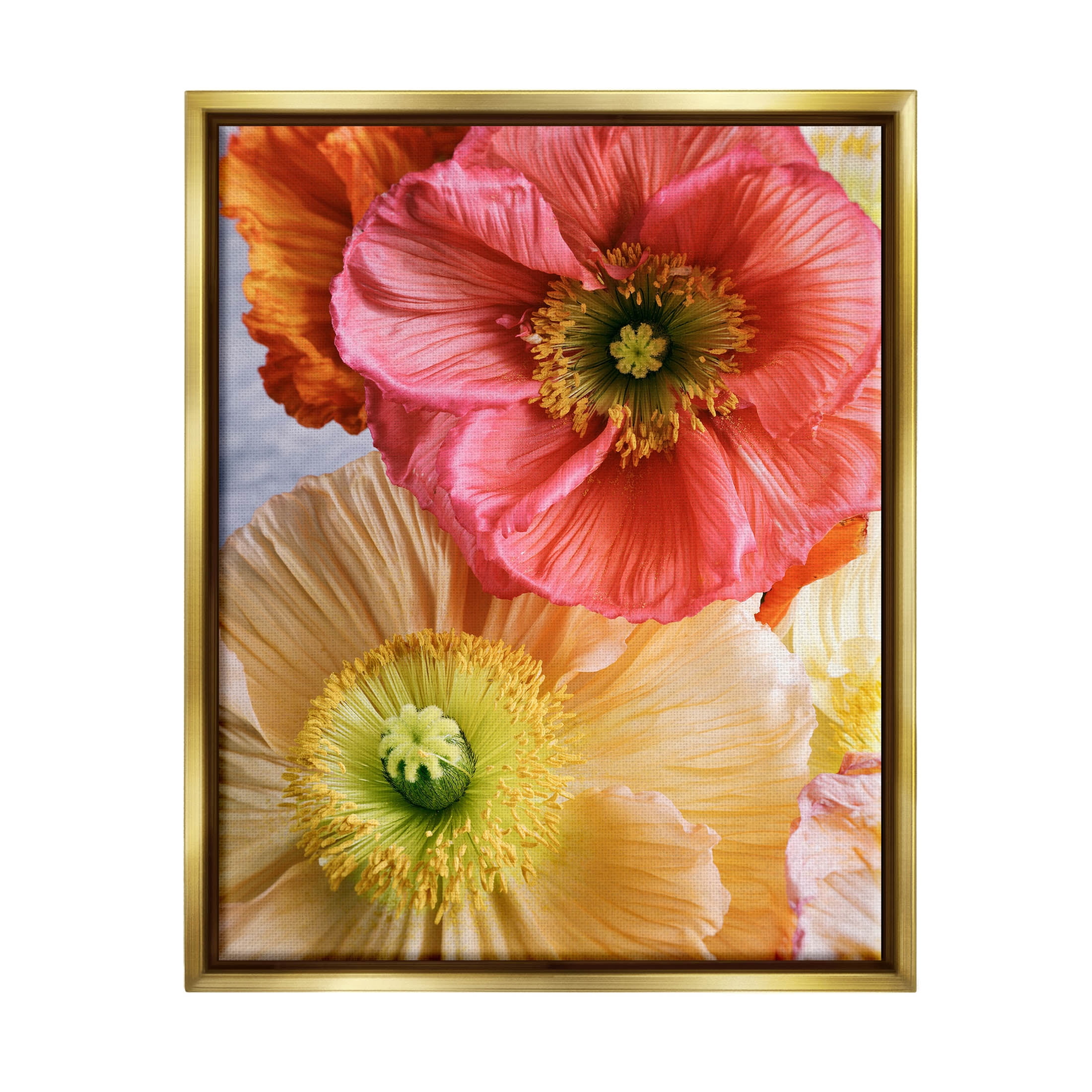 Detailed Poppy Flower Close Up Botanical & Floral Photograph Metallic Gold Framed Art Print Wall Art
