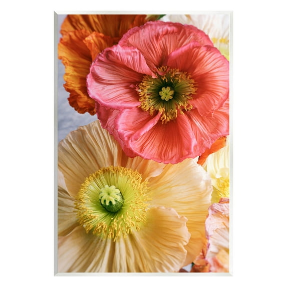 Detailed Poppy Flower Close Up Botanical & Floral Photograph Unframed Art Print Wall Art