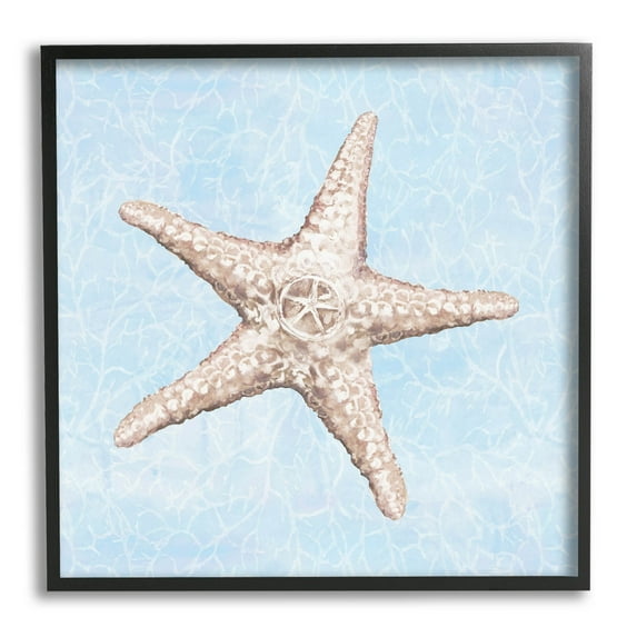Detailed Starfish Blue Water Pattern Animals & Insects Graphic Art Black Framed Art Print Wall Art
