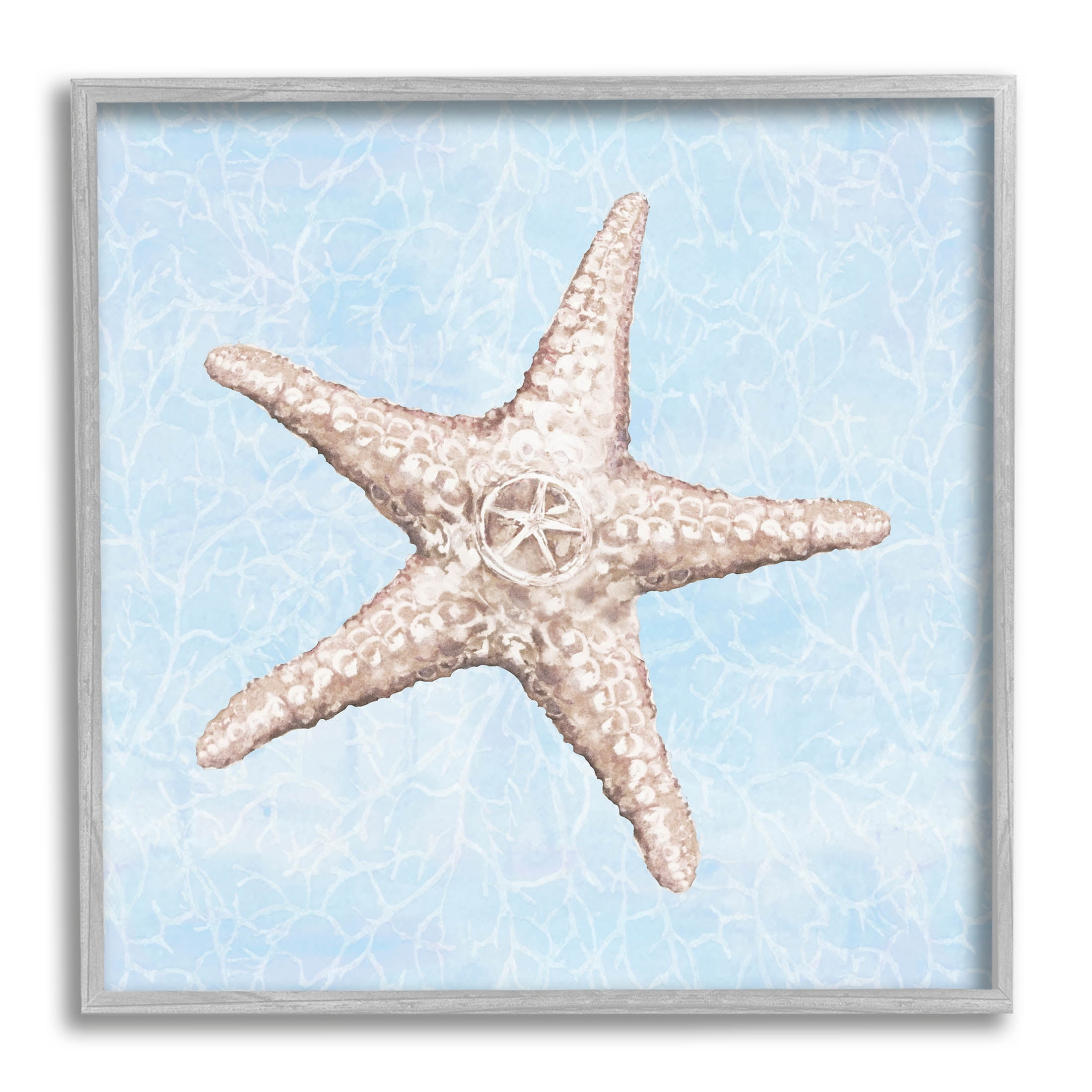 Detailed Starfish Blue Water Pattern Animals & Insects Graphic Art Gray Framed Art Print Wall Art