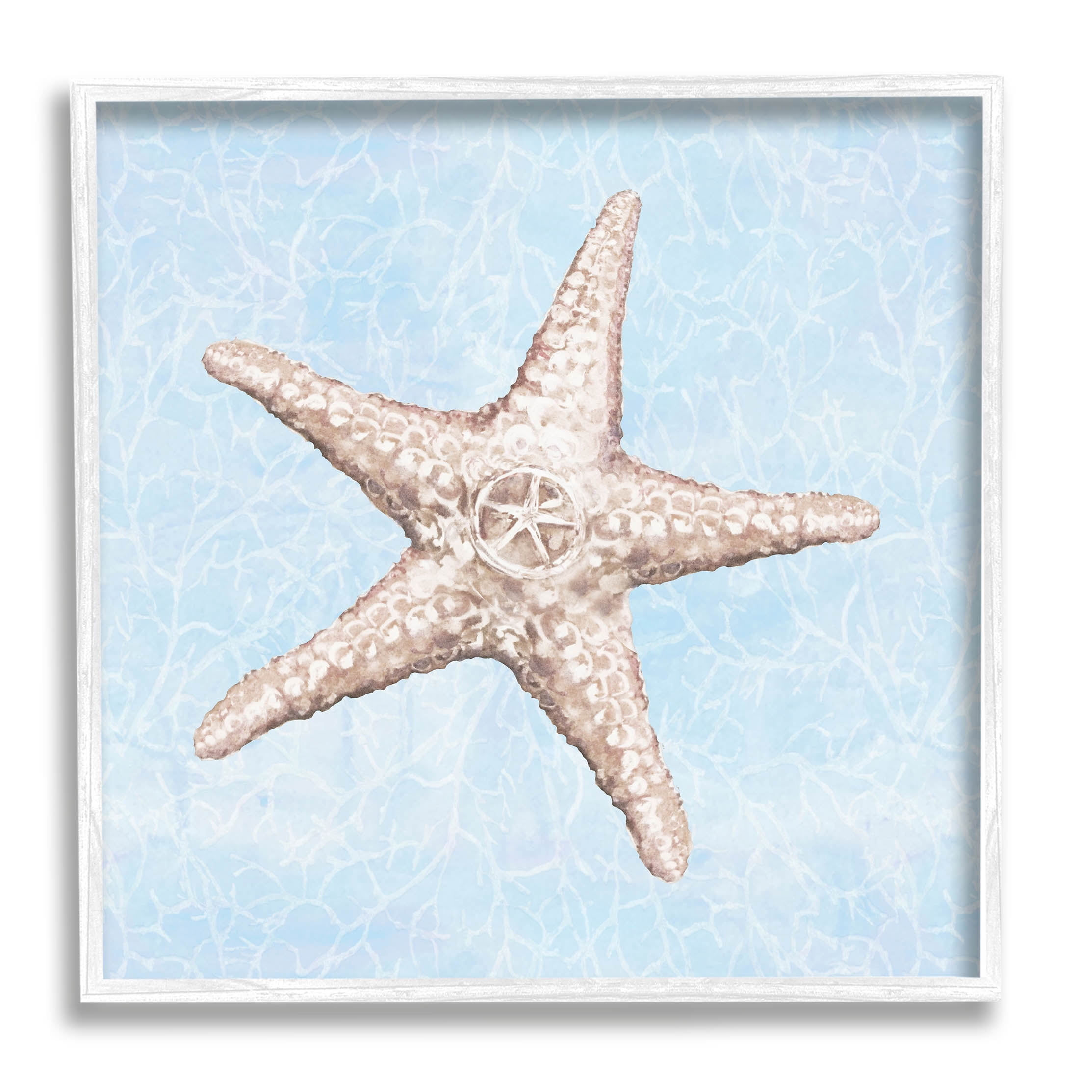Detailed Starfish Blue Water Pattern Animals & Insects Graphic Art White Framed Art Print Wall Art