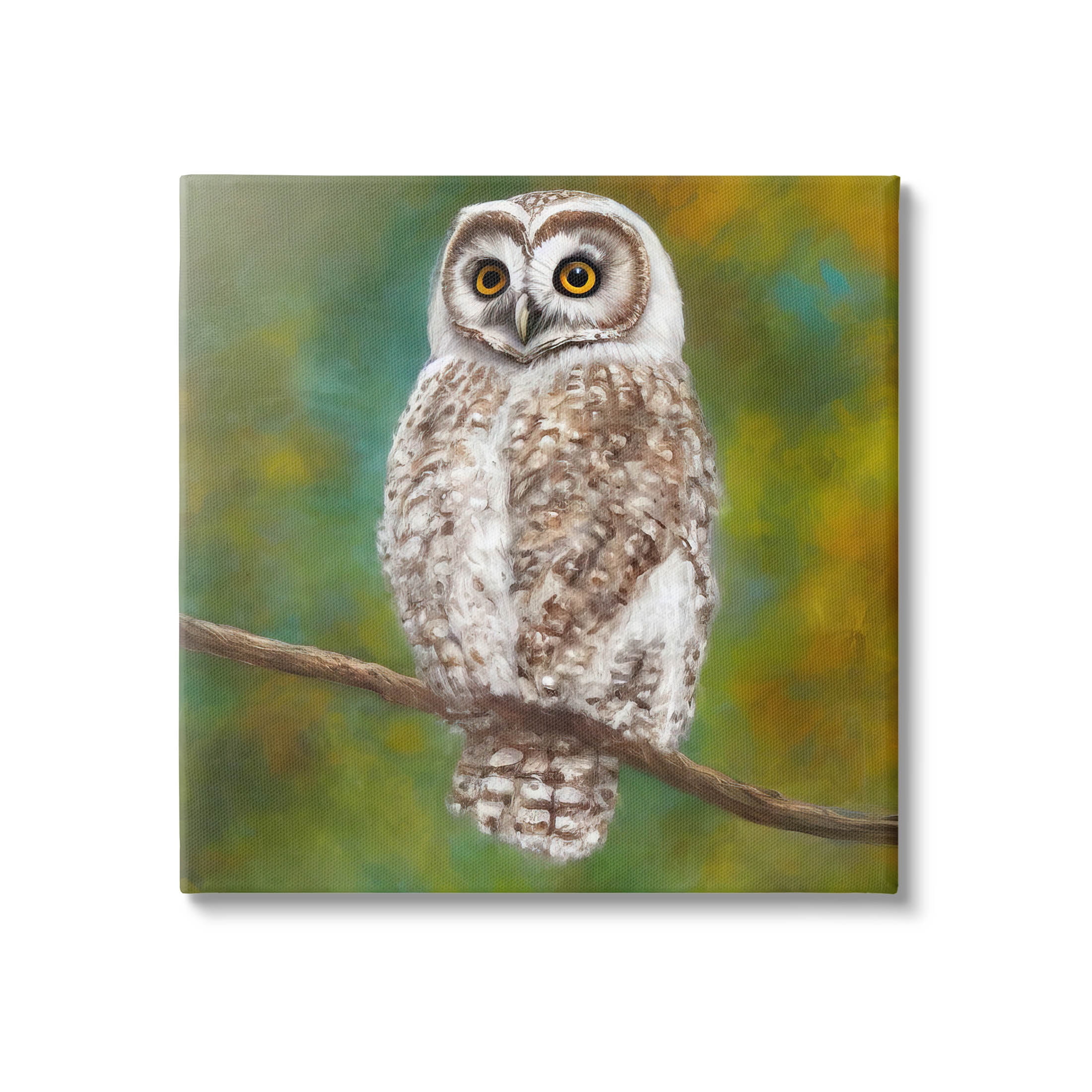 Detailed Wildlife Owl Bird Animals & Insects Painting Gallery Wrapped Canvas Print Wall Art