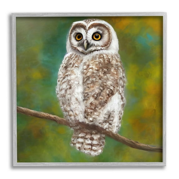 Detailed Wildlife Owl Bird Animals & Insects Painting Gray Framed Art Print Wall Art