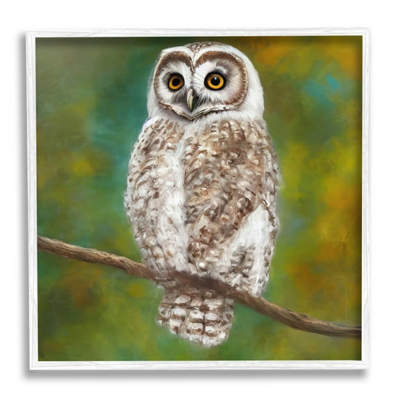 Detailed Wildlife Owl Bird Animals & Insects Painting White Framed Art Print Wall Art