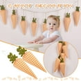 thumbnail image 1 of Details About Easter Non-woven Carrot Pendant Flag Wall Decoration Banner Part Easter Indoor Decor Great Gifts, 1 of 9