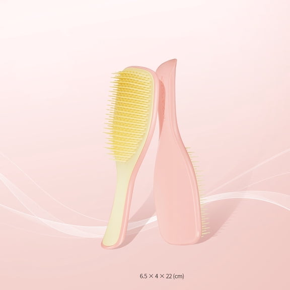 Detangling Massage Hair Brush, Curl Friendly Air Cushion Brush, Portable Styling Comb