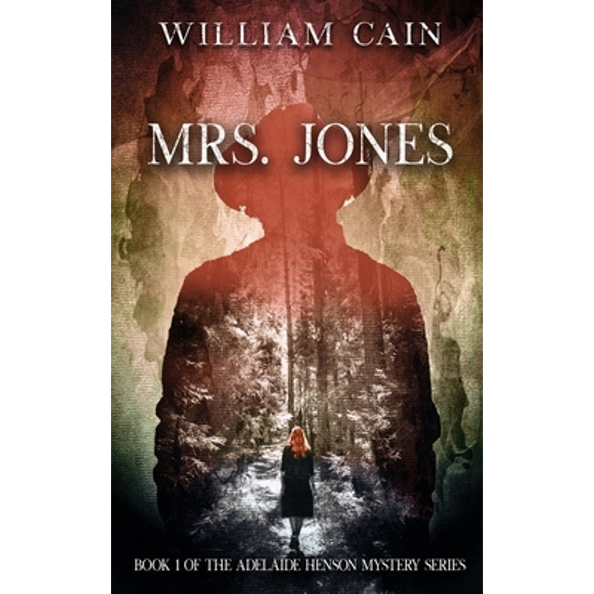Detective Adelaide Henson Murder Mystery: Mrs. Jones #1 (Paperback) -  Walmart.com