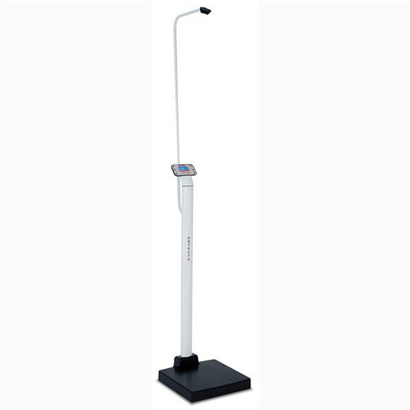 Detecto Scales