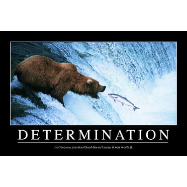 Determination Bear In Water Catching Fish Funny Demotivational Snarky Sarcastic Ironic Motivational Big Bear Poster Large Bear Picture of a Bear Posters for Wall Cool Wall Art Print Poster 12x18