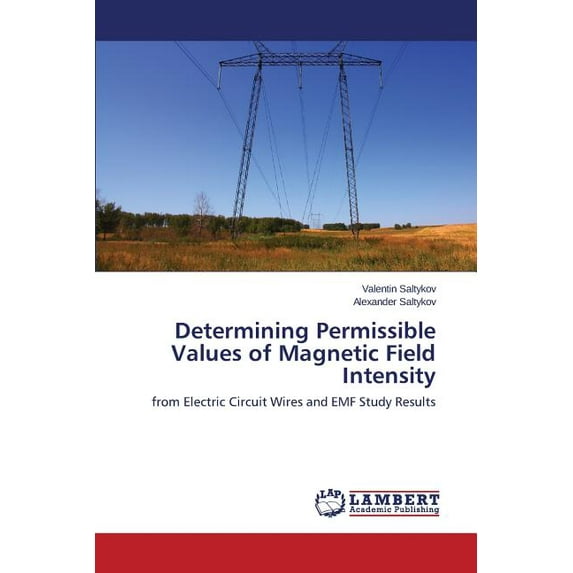 Determining Permissible Values of Magnetic Field Intensity (Paperback)