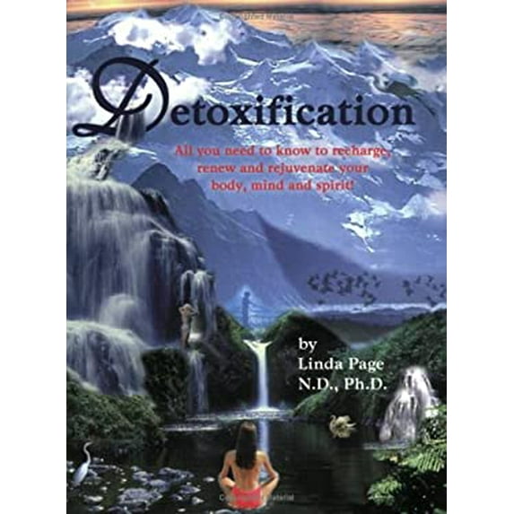 Pre-Owned Detoxification: All You Need to Know to Recharge, Renew & Rejuvenate Your Body, Mind & Spirit (Paperback) 1884334547 9781884334542