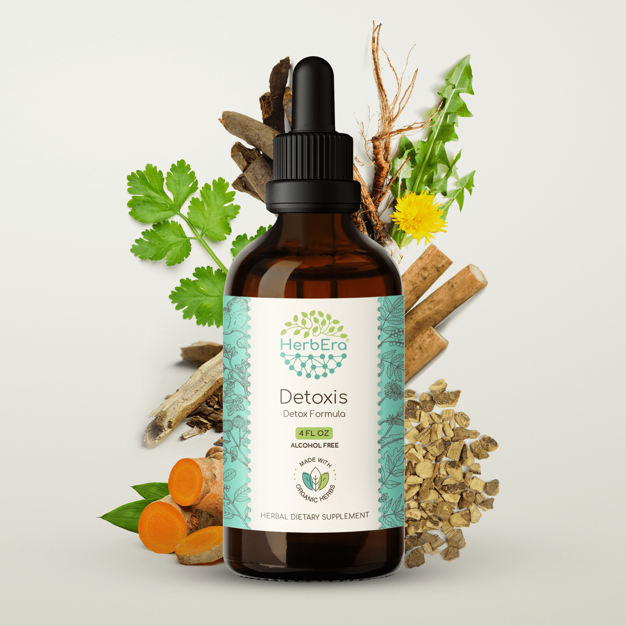 HerbEra Detoxis Extract, Dietary Supplement Herbal Formula, Made from Burdock, Cilantro Leaf, Dandelion Leaf and Root, Turmeric, Oregon Grape, Cascara Sagrada Bark, Prickly Ash Bark 4 oz