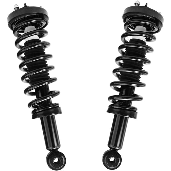 Detroit Axle - Front Struts for 2004-2008 Ford F-150, 2006-2008 Lincoln Mark LT Complete 2 Struts with Coil Spring 2005 2006 2007 Replacement Quick Install Ready Struts Assembly