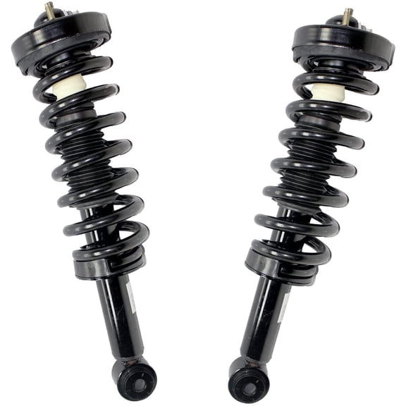 Detroit Axle Suspension Struts and Coil Spring Assembly for 4WD 2009-2013 Ford F-150, 58 Ibs, 2 Pack