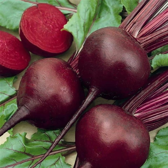 Beet Seeds - Detroit Dark Red 8 Gram ~353 Seeds | Non-GMO, Heirloom, High Germination | For Garden, Raised Beds, Containers, Juicing, Pickling