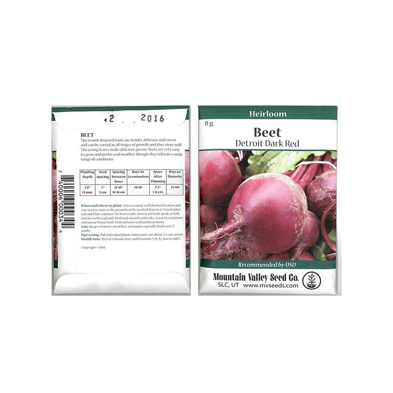 Detroit Dark Red Beet Seeds - Non-GMO Bulk Heirloom Seed for Growing Microgreens, Vegetable Gardening, Garden Salad Garnishes, More (4 Oz) Detroit Dark Red Beet Seeds - Non-GMO Bulk Heirloom Seed for Growing Microgreens, Vegetable Gardening, Garden Salad Garnishes, More (4 Oz)