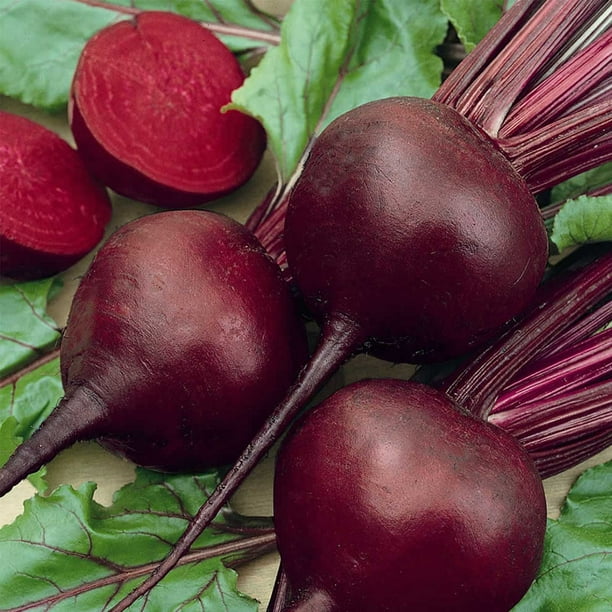 Detroit Dark Red Beet Seeds - Non-GMO Bulk Heirloom Seed for Growing Microgreens, Vegetable Gardening, Garden Salad Garnishes, More (4 Oz) Detroit Dark Red Beet Seeds - Non-GMO Bulk Heirloom Seed for Growing Microgreens, Vegetable Gardening, Garden Salad Garnishes, More (4 Oz)