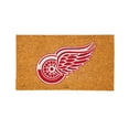 thumbnail image 1 of Detroit Red Wings 28" x 16" Logo Turf Mat, 1 of 1
