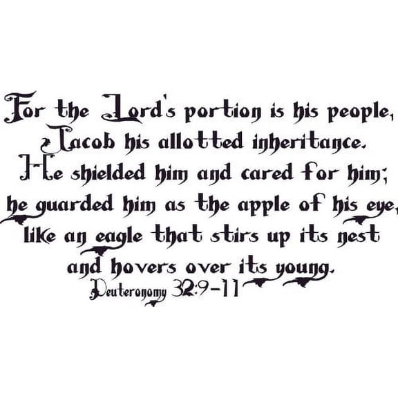 Deuteronomy 32:9-11, Wall Art, Lord's People Inheritance Hover Shield Guard Care