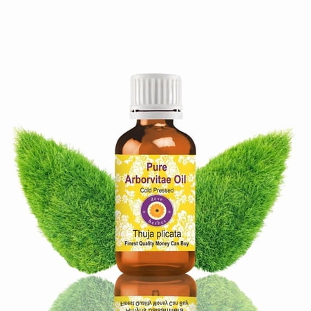 Deve Herbes Arborvitae Oil (Thuja plicata) - 5ml (0.16 FL Oz ) - 100% Natural Oil - for Aromatherapy, Diffuser Use & External Use - without Dropper