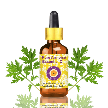 Deve Herbes Armoise Essential Oil (Artemisia Herba Alba) - 0.16 Fl Oz (5ml) - 100% Natural Armoise Oil - for Aromatherapy, Meditation & Herbal Blends - with Dropper
