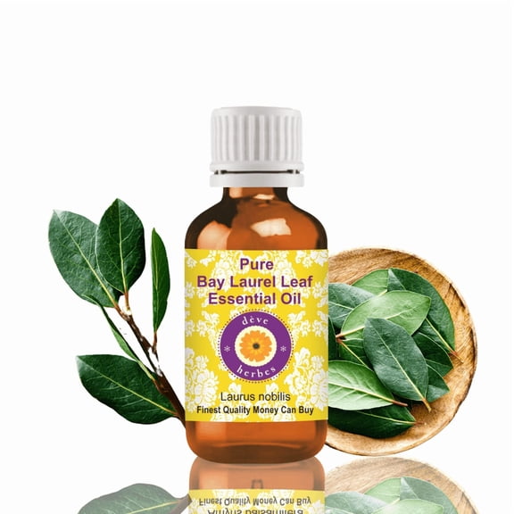 Deve Herbes Bay Laurel Leaf Essential Oil (Laurus Nobilis) - 1.69 Fl Oz (50ml) - 100% Natural Bay Laurel Oil - for Hair Care, Massage & Aromatherapy - without Dropper