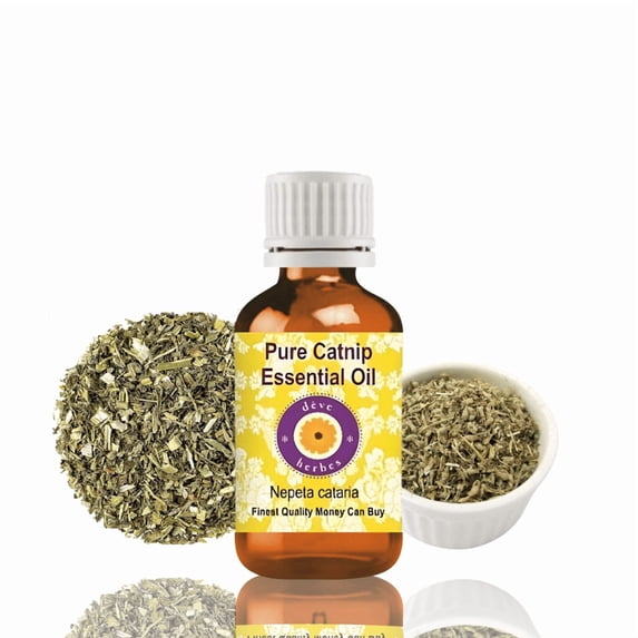 Deve Herbes Catnip Essential Oil (Nepeta Cataria) - 3.38 Fl Oz (100ml) - 100% Natural Catnip Oil - for Relaxation, Insect Repellent & Aromatherapy - without Dropper