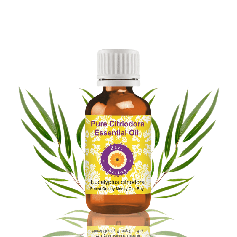 Deve Herbes Citriodora Essential Oil (Eucalyptus Citriodora) - 3.38 Fl Oz (100ml) - 100% Natural Citriodora Oil for Insect Repellent, Diffuser & Fresh Aroma - without Dropper